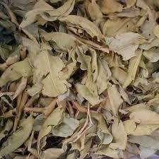 Lá vối khô 1kg