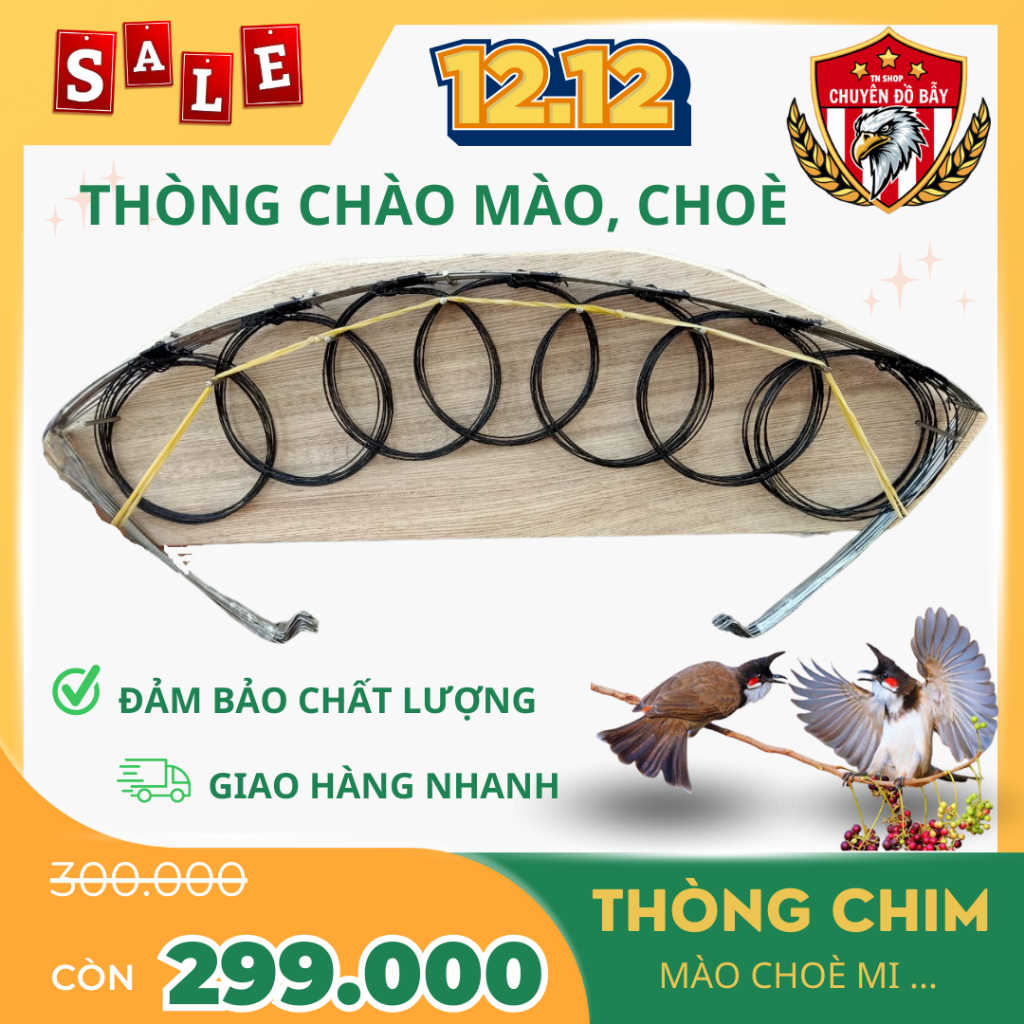 Thòng chim chào mào , choè than , hoạ mi bộ 9 khung 63 vòng