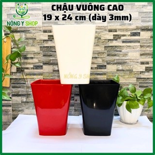 Size 19-24, chậu nhựa vuông cao, chậu vuông cao, chậu nhựa dày, bóng, chậu hoa, cây kiểng