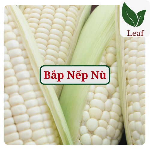 Hạt Giống Bắp Nếp Nù - Bắp Nù - Bắp Nếp - Ngô Nếp - Gói 100gr - Hạt Giống Leaf