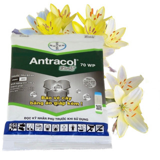 THUỐC DIỆT NẤM BỆNH CHO CÂY TRỒNG ANTRACOL 70WP GÓI 100G