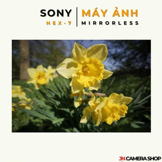 Máy ảnh Mirrorless SONY NEX-7 + Lens Kit