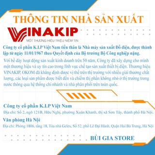 Cầu dao đế sứ 2P 30A 600V cực đúc