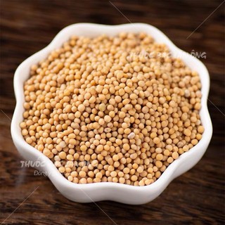 Bạch giới tử 100g (Hạt cải trắng, bổ phế, long đờm)