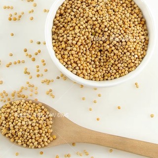 Bạch giới tử 100g (Hạt cải trắng, bổ phế, long đờm)