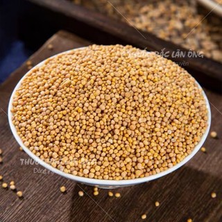 Bạch giới tử 100g (Hạt cải trắng, bổ phế, long đờm)