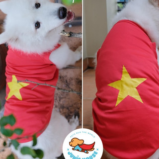 Áo thun có tay dành cho chó lớn