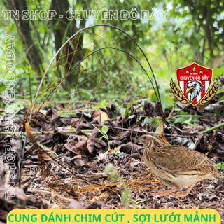 Cung bẫy cút bộ cung bẫy chim cút rừng