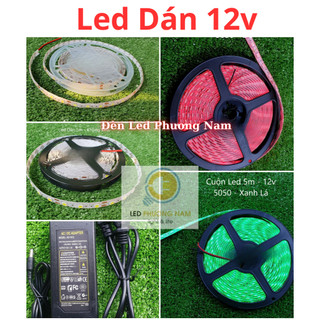 Dây Đèn Led Trang Trí Vàng Nắng [5m - 12v]