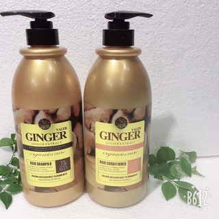 DẦU GỘI ĐẦU GỪNG GINGER VALER