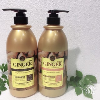 DẦU GỘI ĐẦU GỪNG GINGER VALER