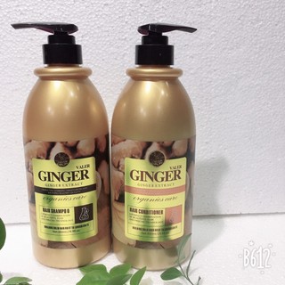 DẦU GỘI ĐẦU GỪNG GINGER VALER