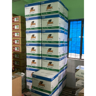 (gói 20 viên) Thuốc diệt chuột Storm - Thuốc chuột Storm