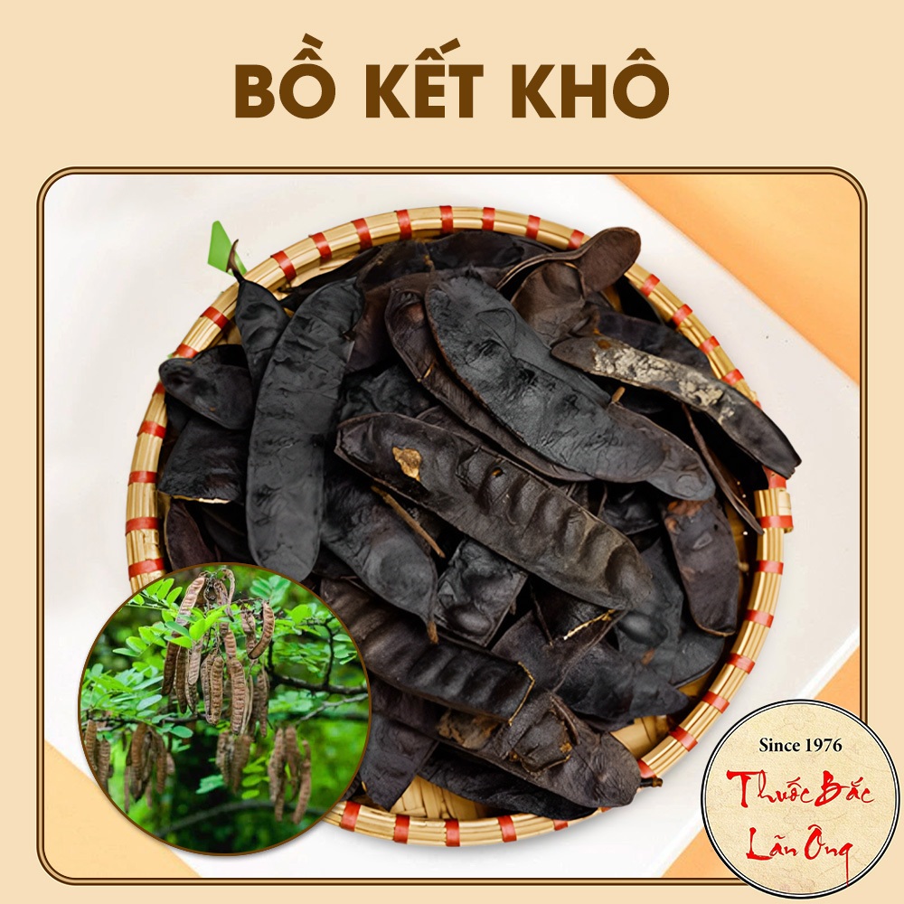 Trái bồ kết khô 100g (Dầu gội dược liệu, dầu gội đầu bồ kết)