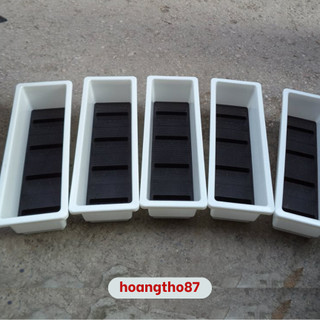  3 chậu trồng cây trồng  hoa rau ban công sân thượng đặt vừa kệ giá treo shop ghi ký hiệu chậu 67 