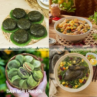 Bột ngải cứu nguyên chất 100g, xông giải cảm, ngâm chân, giảm đau nhức xương khớp