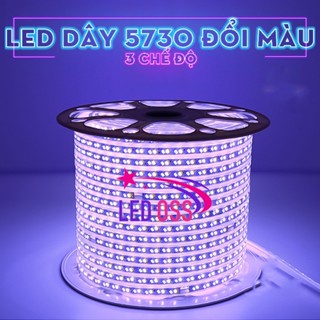 Đèn LED Dây 5730 đổi màu 3 chế độ 120 mắt led vàng-dương-tím (mua 10m tặng 1 nguồn) trang trí hắt trần, bàn tủ kệ