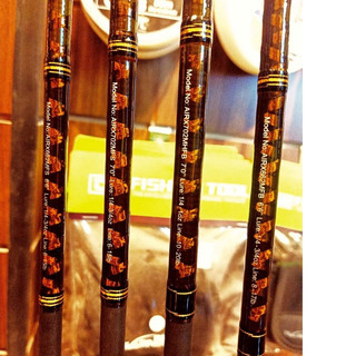 Cần Daiwa Câu lure AIRD X