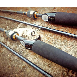 Cần Daiwa Câu lure AIRD X