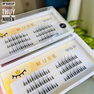 Mi rời tự gắn Muse #N07 (mi trên)