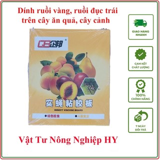 1 Miếng bẫy dính ruồi vàng, dòi đục trái cây ăn quả, hoa cây cảnh