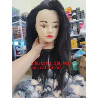 Đầu canh học làm tóc - manocanh tóc giả, ken nữ học cắt _TDCN