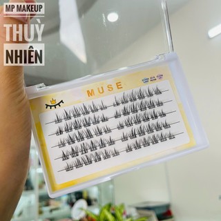 Mi rời tự gắn MUSE - N11(mi trên)