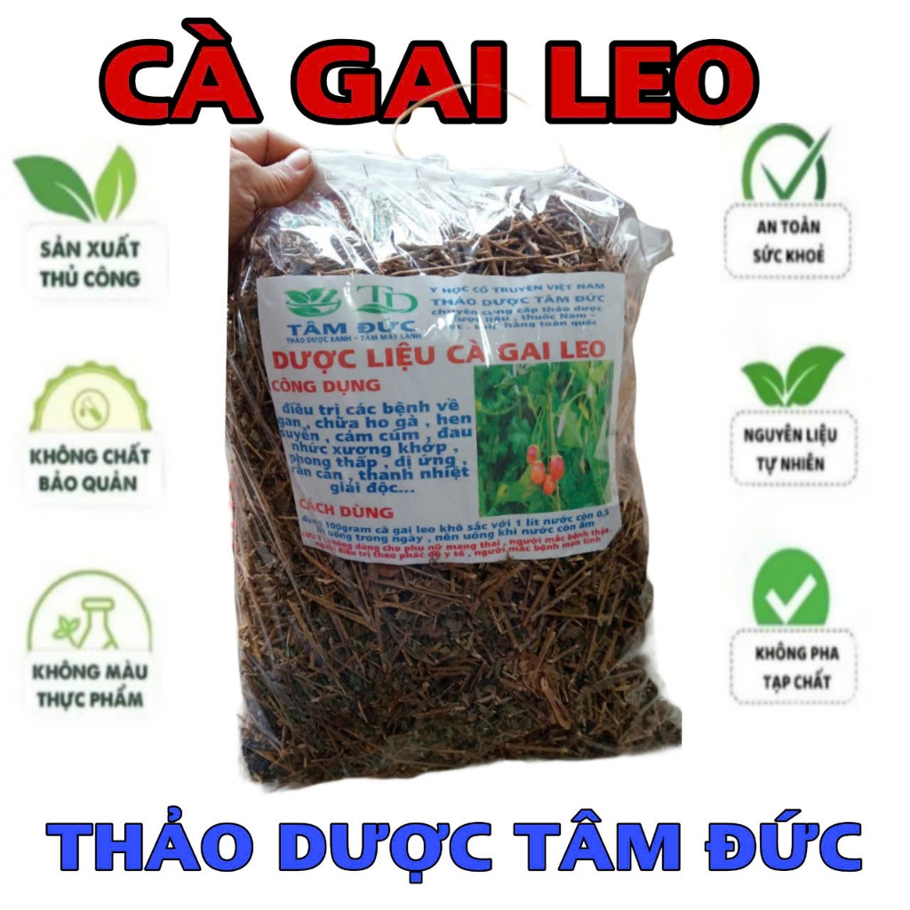 1KG Cây Cà Gai Leo Sấy Khô
