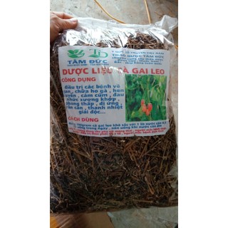 1KG Cây Cà Gai Leo Sấy Khô