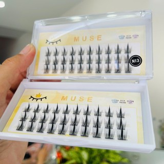 Mi rời tự gắn MUSE - N13 (mi trên)