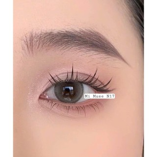 Mi rời tự gắn MUSE - N17 (mi trên)