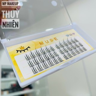 Mi rời tự gắn MUSE - N17 (mi trên)