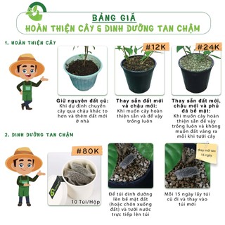 BẠC HÀ TÁO