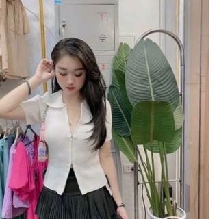 Áo len khóa giữa cổ bẻ hàng QC