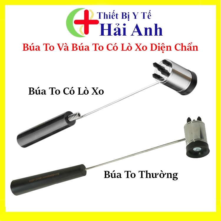 Búa To Và Búa Lò Xo Diện Chẩn