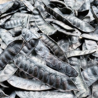 1KG Bồ Kết Khô Hàng Tự Nhiên, Nguyên Trái Như Hình, Xông Nhà, Gội Đầu (Giá Sỉ)