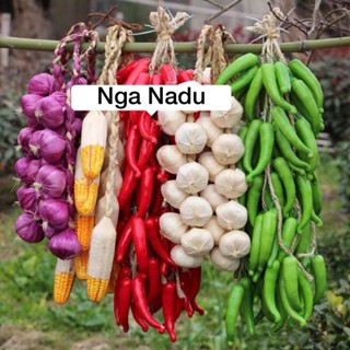 Dây hành tỏi, ớt - dây củ quả, ngô, khoai lang giả như thật trang trí Lễ tết, hội chợ, trường học, chợ quê nông sản
