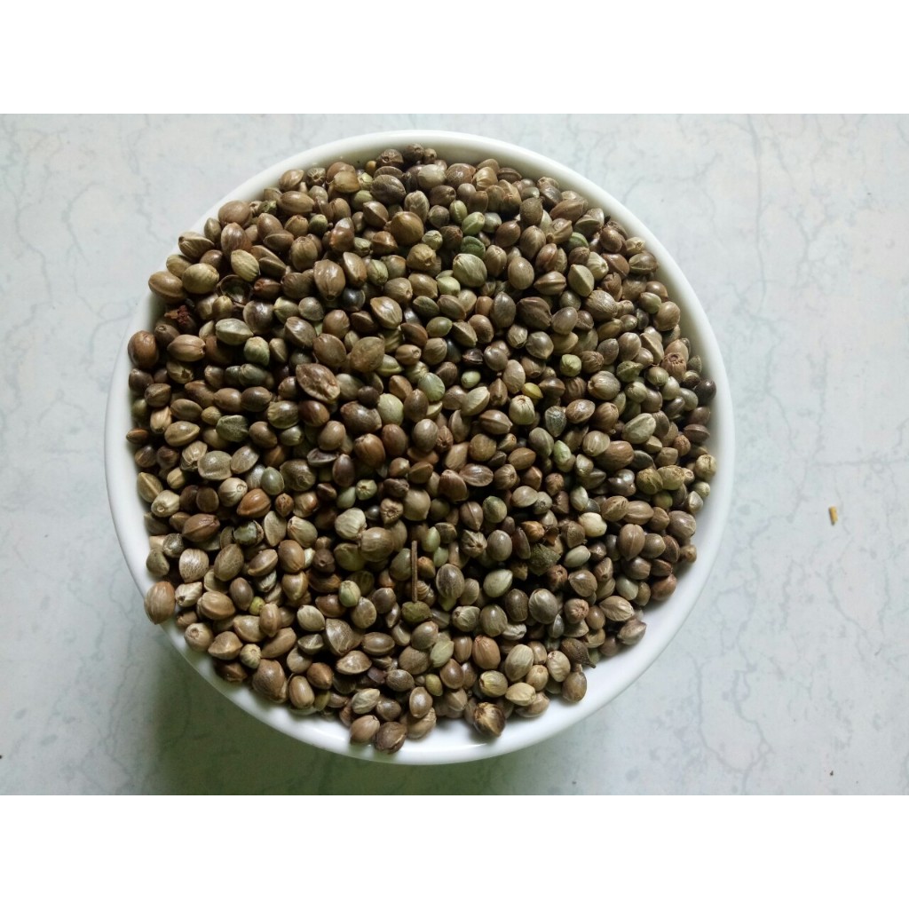 hạt láng tròn (láng gà) dành cho chim, vẹt (cung cấp rất nhiều chất dinh dưỡng)