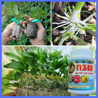 N3M Phân Bón Kích Thích Ra Rễ Cực Mạnh Cho Mọi Cây Trồng  (Lọ 100Gram)