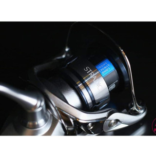 Máy đứng Câu cá Shimano Stradic FL