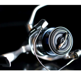 Máy đứng Câu cá Shimano Stradic FL