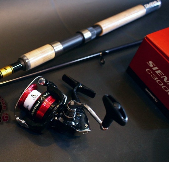 Combo Cần Đứng Daiwa Sweepfire và máy câu sinh viên