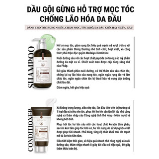 (Tặng Mọc Tóc) DẦU GỘI XẢ GỪNG WEILAIYA LUXURY