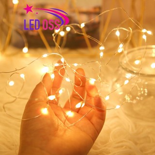 Dây đèn led trang trí fairylight đom đóm có sẵn pin dài 1m-2m-3m