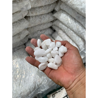 1kg sỏi trắng trang trí cây trồng