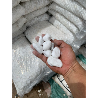1kg sỏi trắng trang trí cây trồng