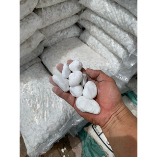 1kg sỏi trắng trang trí cây trồng