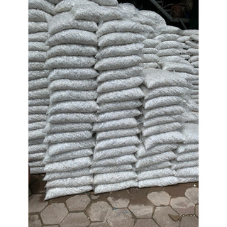 1kg sỏi trắng trang trí cây trồng