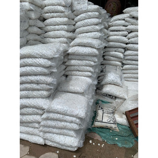 1kg sỏi trắng trang trí cây trồng