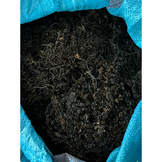 Sỉ 10kg Rong biển khô nấu sâm rong biển - rong mềm có cát